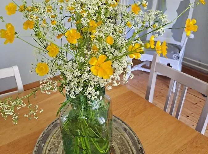 Amy 住宿加早餐酒店